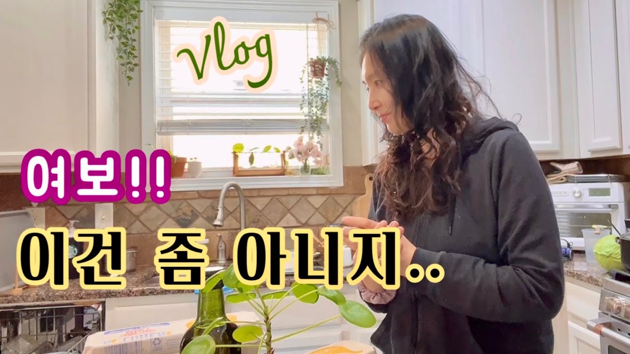 남편흉? 미안 ㅎ“그래도 이건 쫌” ALDI $137 장보기 미국에서 가장저렴한마트