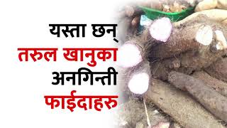 तरल खनक अनगनत फईदहर Tarul Khanuka Faida