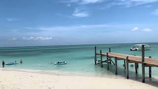 IMG 04461
