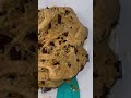 Every recipe doesn’t go as planned😭😂 #cookies #recipe #fail #fall #vlogging 