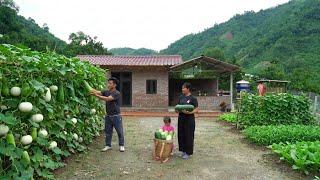 Cosecha de melón de invierno | La feliz vida de una pequeña familia en una zona rural pobre screenshot 2
