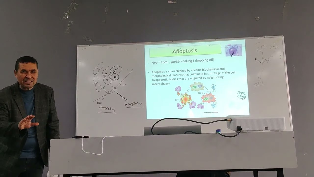 Biology 🧪 Chapter 4 lecture 6 part5 