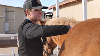 Celebrity The Marine Corps Last Mounted Color Guard Profile
