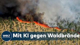 WELT THEMA: Extreme Waldbrandgefahr in Brandenburg