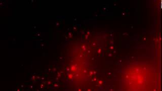 : Beautiful red floating particles background video