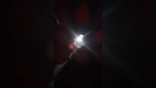 Tocando a campainha e saindo correndo