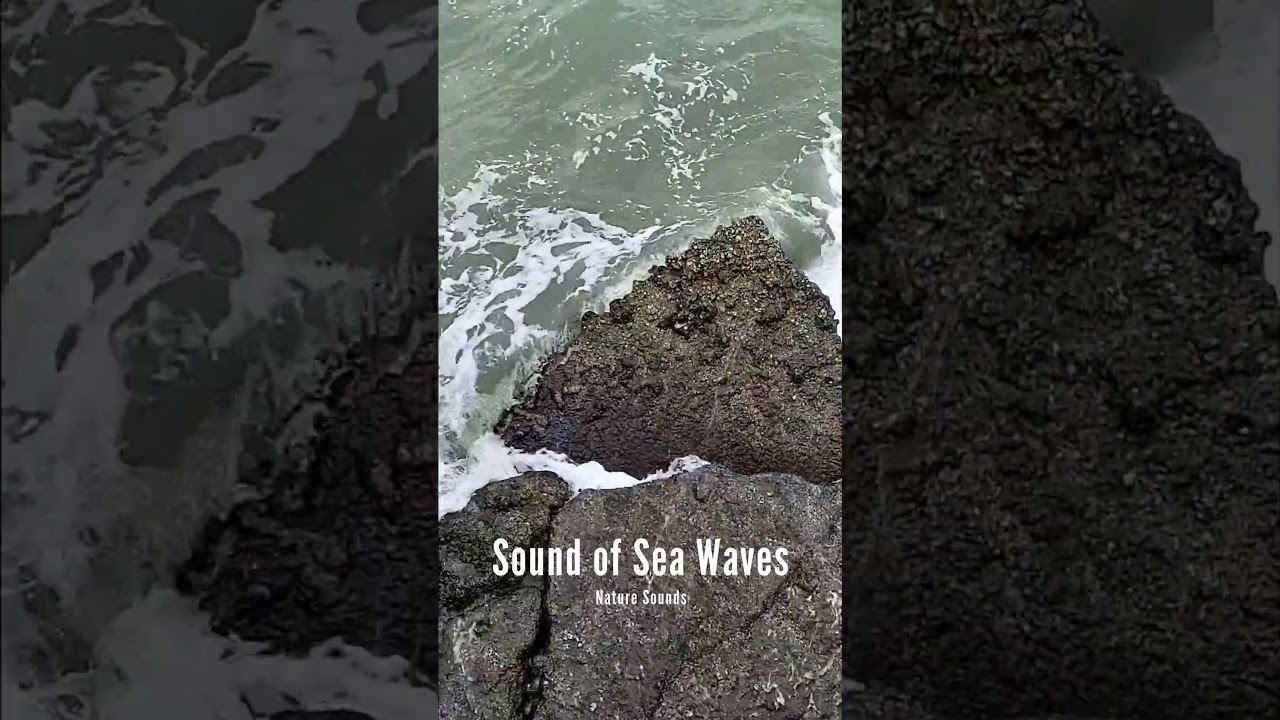 The Sound of Sea Waves and Wind ✅ Nature Sounds for Sleep 🌊💤