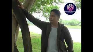 Lagu Bugis 
