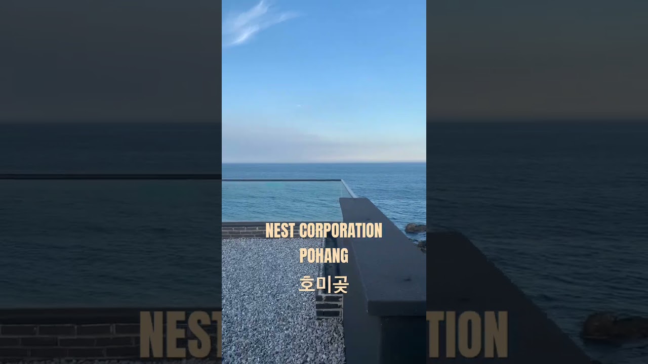 포항 카페 네스트 #포항여행 #동해바다 #포항 #포항카페 #pohang #shorts