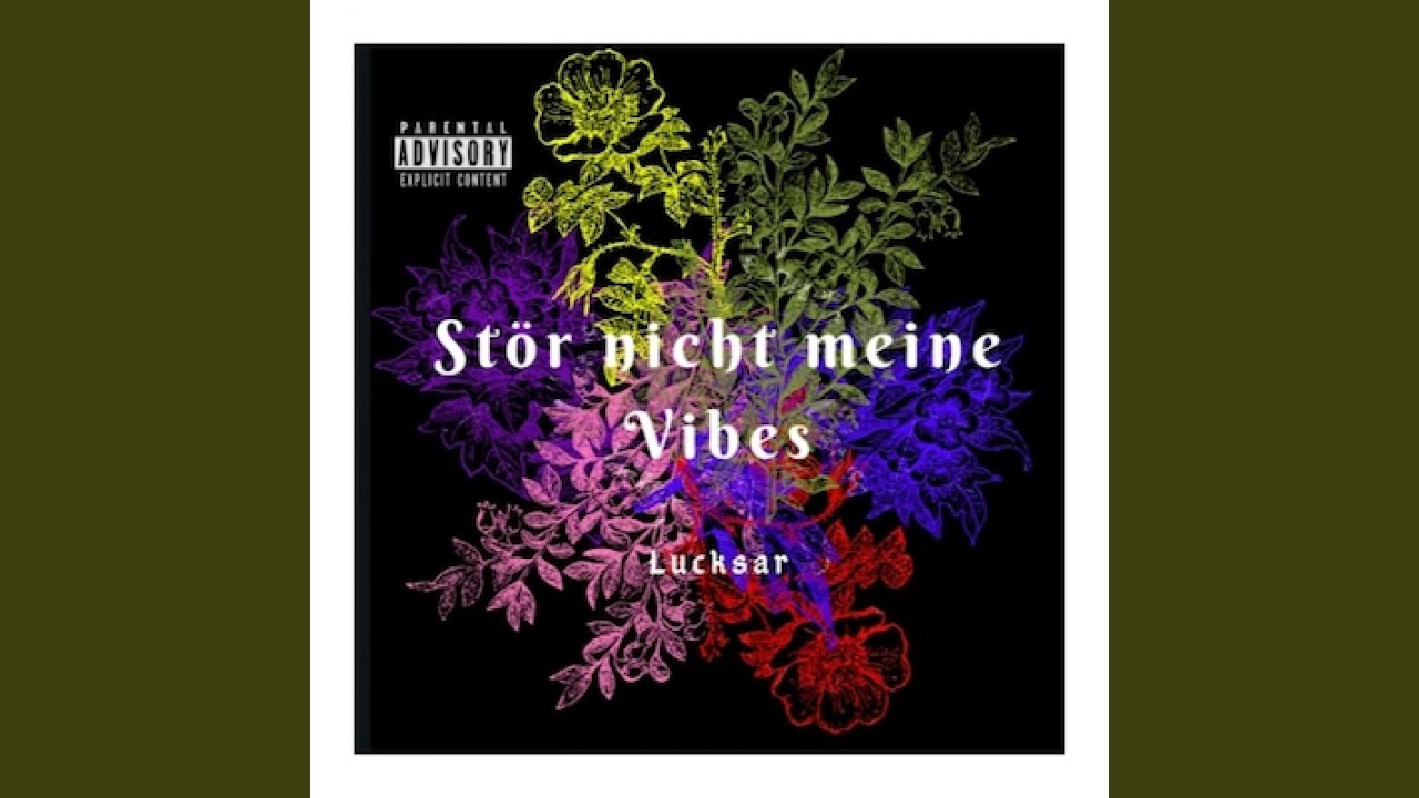 Stör Nicht Meine Vibes