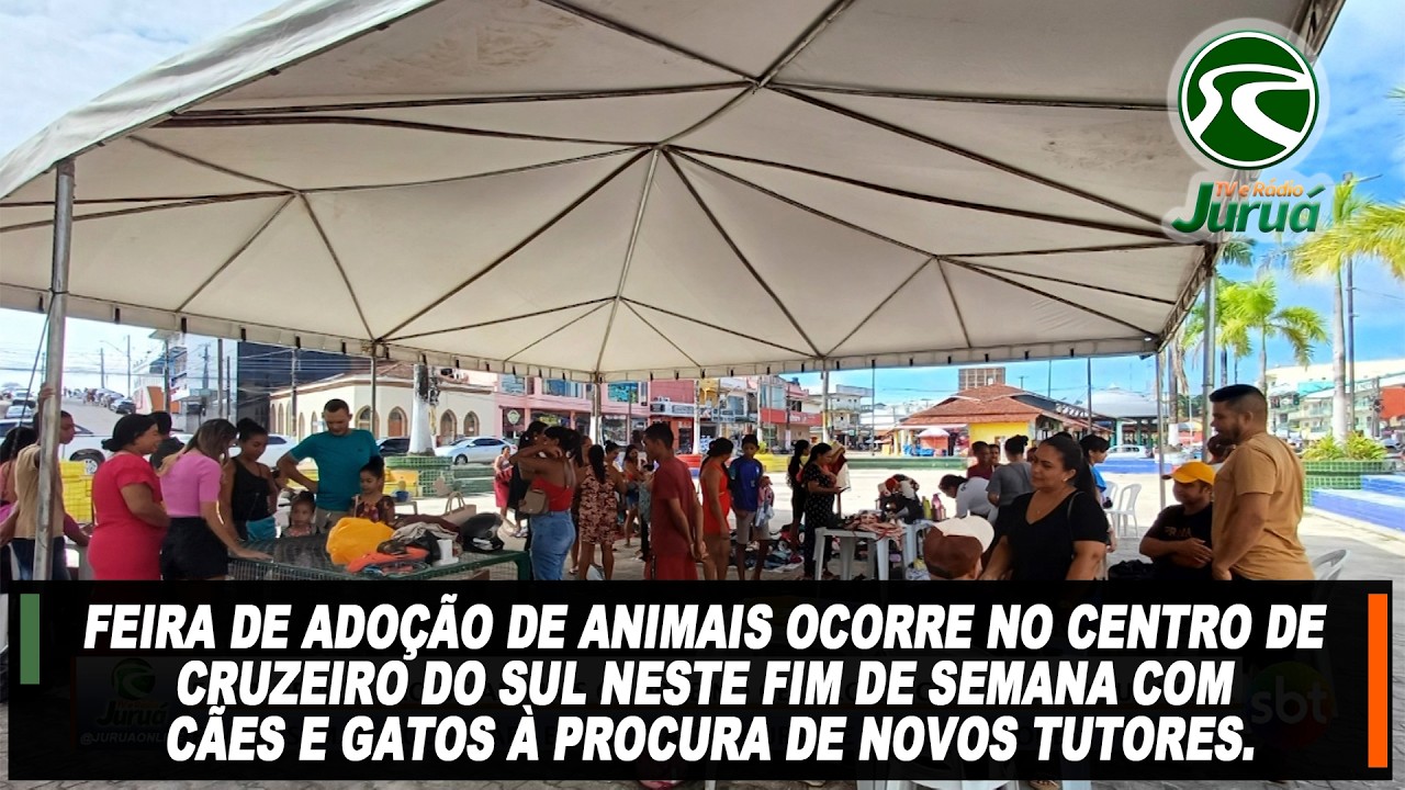 Feira de adoção de animais neste fim de semana com cães e gatos à procura de novos tutores.