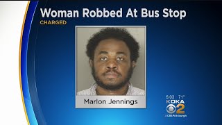 Elderly Woman Recovering After Robbery On South Side