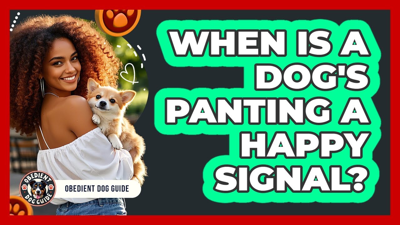 When Is a Dog's Panting a Happy Signal?