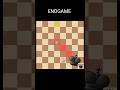 EndgamE ☠️ Bishop Sacrifice ⚔️ Sacrifice Mate -12 #shorts #chess #endgame
