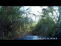 Amateur 4wd offroading tests 6 of 6 jungle trail