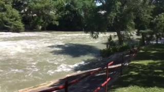 Guadalupe River June 2016
