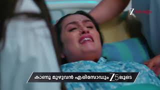Krishnagadha Ep - 250 Preview Mar 29 2026 Zee Keralam