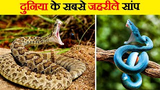 दुनिया के 10 सबसे जहरीले सांप | Most Venomous Snakes in the World