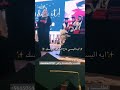 البسي تاج التخرج ومشي بخطوات الفخر اغاني تخرج بدون حقوق 2025 