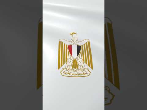 Coat Of Arms Of Egypt Flag Stock Illustration