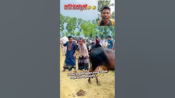 kalau begini siapa yang salah 🤣 #viral #funny #lucu #ngakak #shorts #shortsfeed #shortsvideo #memes