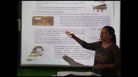 Class 5 Science Topic: Sound and Noise