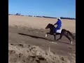 Traditional Horse Racing Mpumalanga 21 02 2026 