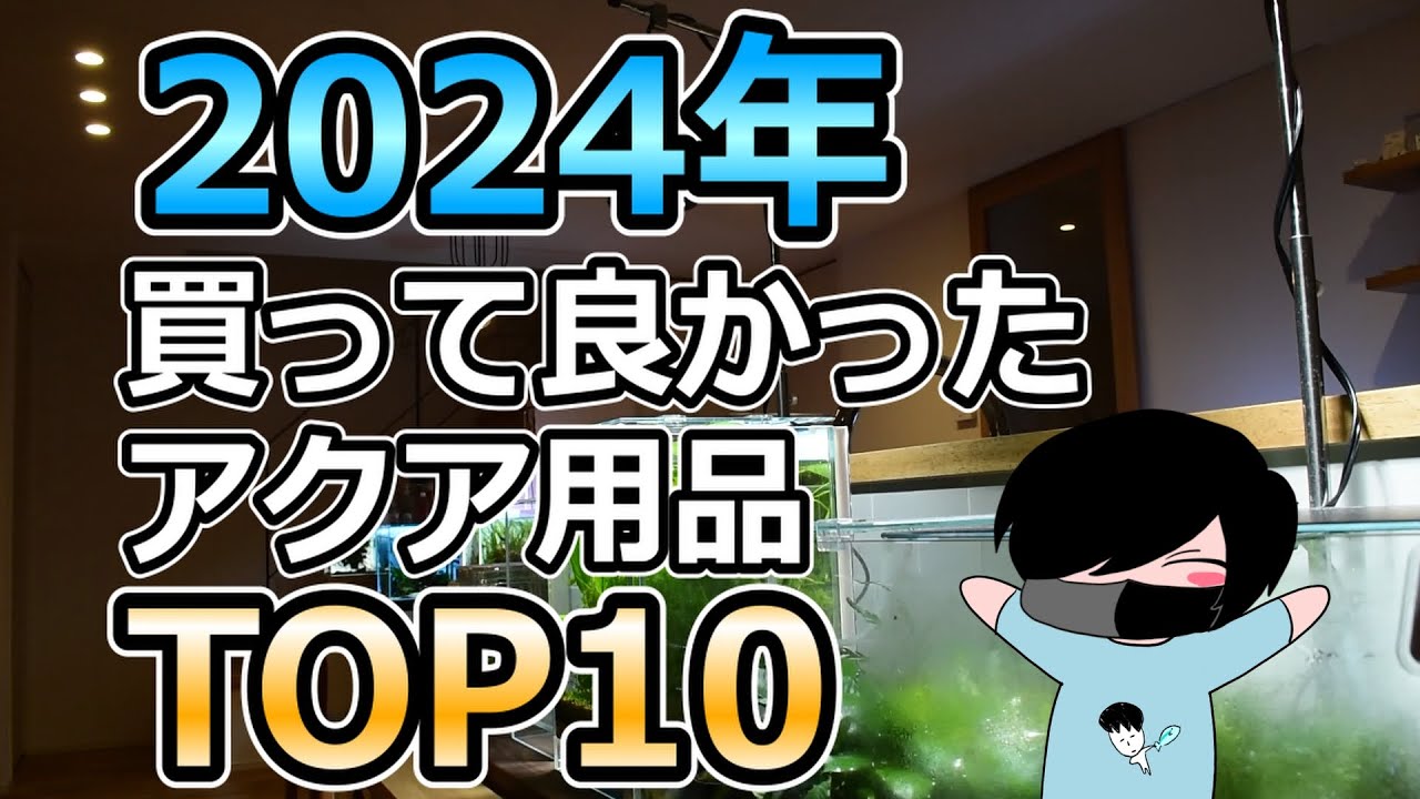 2024年に買って本当に良かったアクアリウム用品をなんと10個も紹介