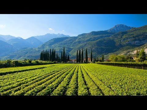 Trentino Alto Adige - Festa dell'uva, documentario - Verla di Giovo