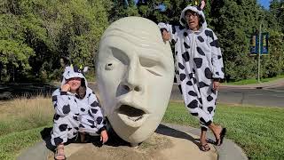 The Fence Fell Down and the Cows are Out