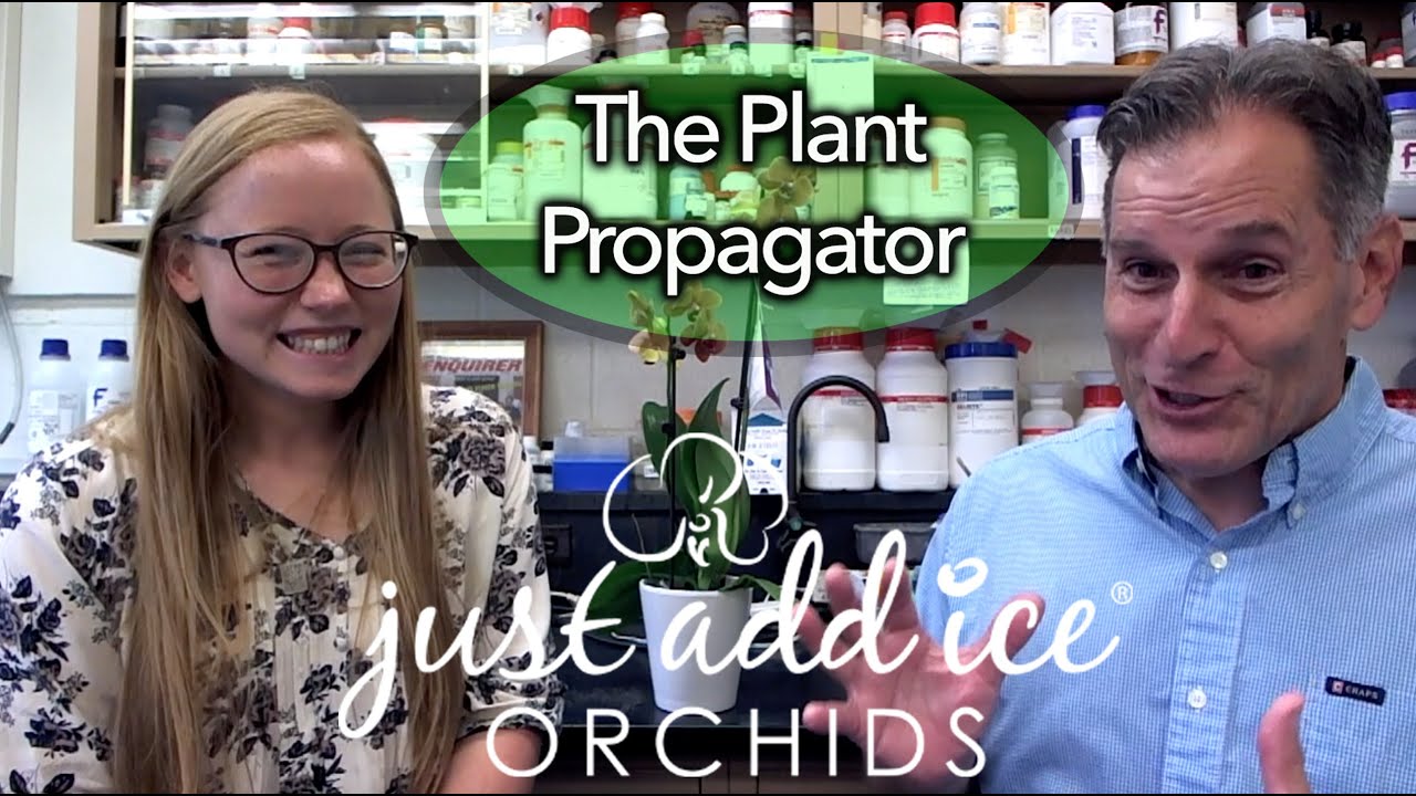 Meet a Just Add Ice orchid scientist!