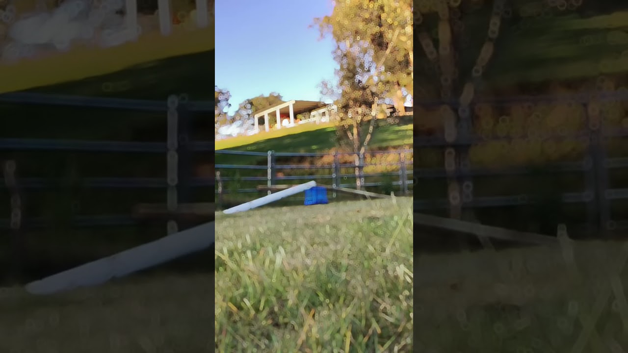 ✨JUMPING MY FRIENDS HORSE BAREBACK!?✨ 