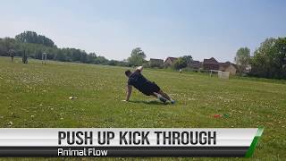 Animal Flow- Push Up Kick Through
