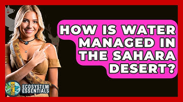 How Is Water Managed In The Sahara Desert? - Ecosystem Essentials