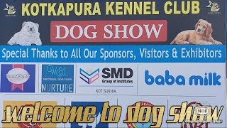 ROTTWEILER || HUSKY || GERMAN SHEPHERD || BOXER || DOG SHOW 2019 || SCOOBERS