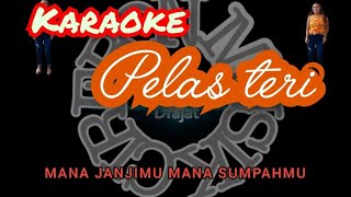 Download lagu karaoke PELAS TERI-Dara ayu (reggae)