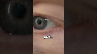 Time Facts That Will Confuse You | Mind Vanta