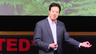 Detalles Why innovation is like a rainforest  Victor Hwang at TEDxUniversityofNevada Noticias
