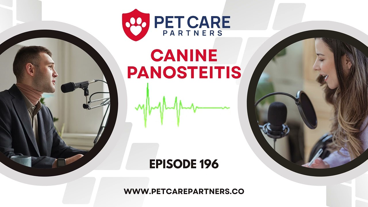 EP 196: Canine Panosteitis: Diagnosis, Treatment, and Management | Pet Care Partners Podcast