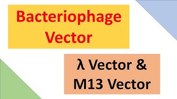 Bacteriophage (Cloning Vector) | Lambda phage & M13 phage vector | ABT Gurukul