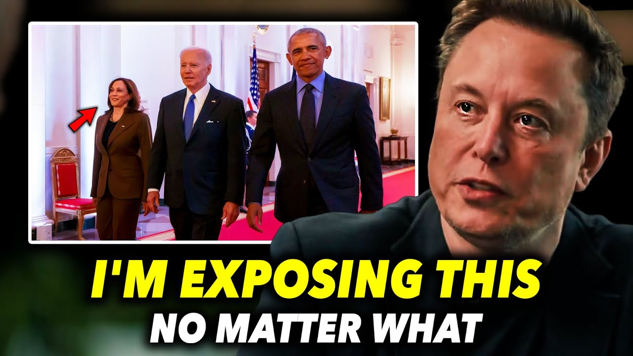 Elon Musk puts the hammer down on the far-leftist