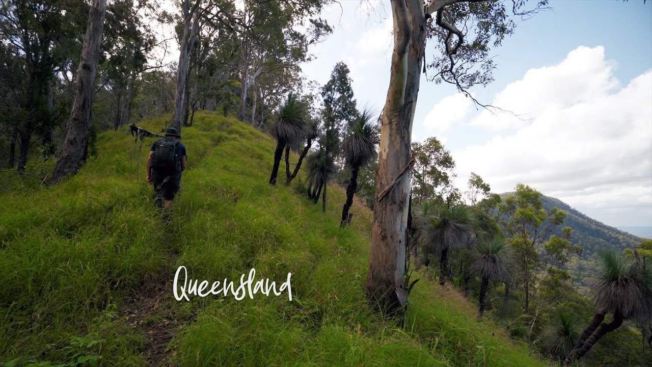 Neglected Mountain + Lamington Falls - Hiking in South East Queensland