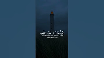 تلاوة خاشعة ❤️ قرآن الكريم 💕 حالات واتساب قرآن