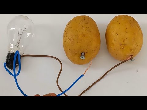 Video: Etkili ve basit patates pili