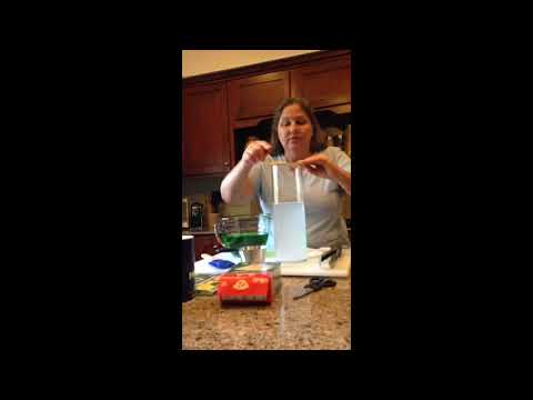 Salinity Stratification Demo