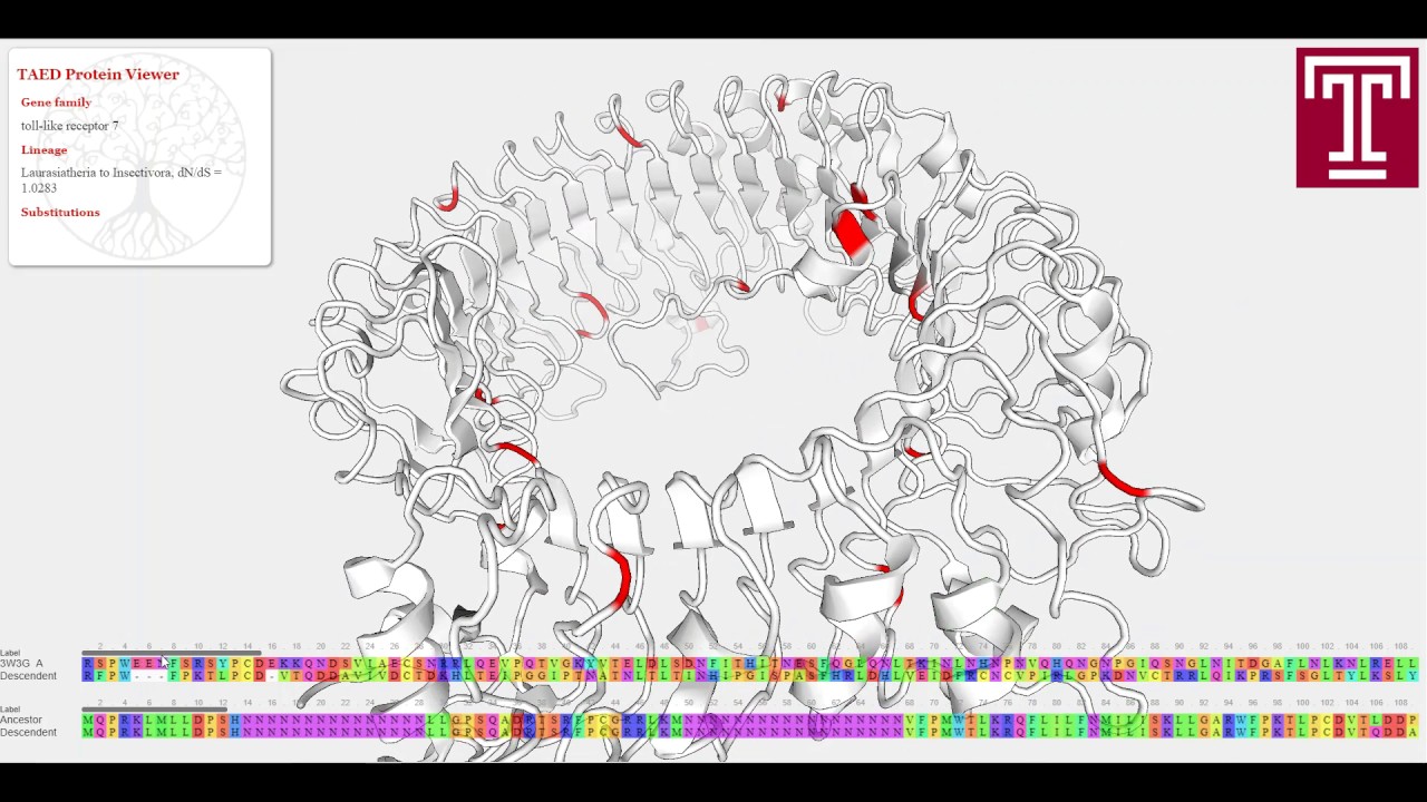 TAED Search Tutorial - YouTube