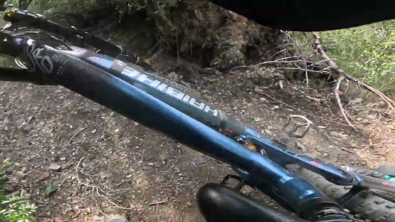 Trialera de Can Palòs 