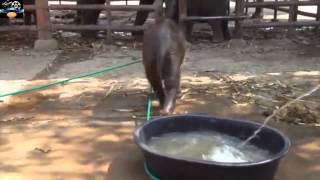Win/Fail Compilation November 2014 Part 2
