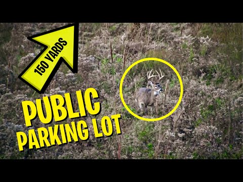 PUBLIC LAND BUCK Bedded by the Access! - Flash Back Hunt That Taught Me Something