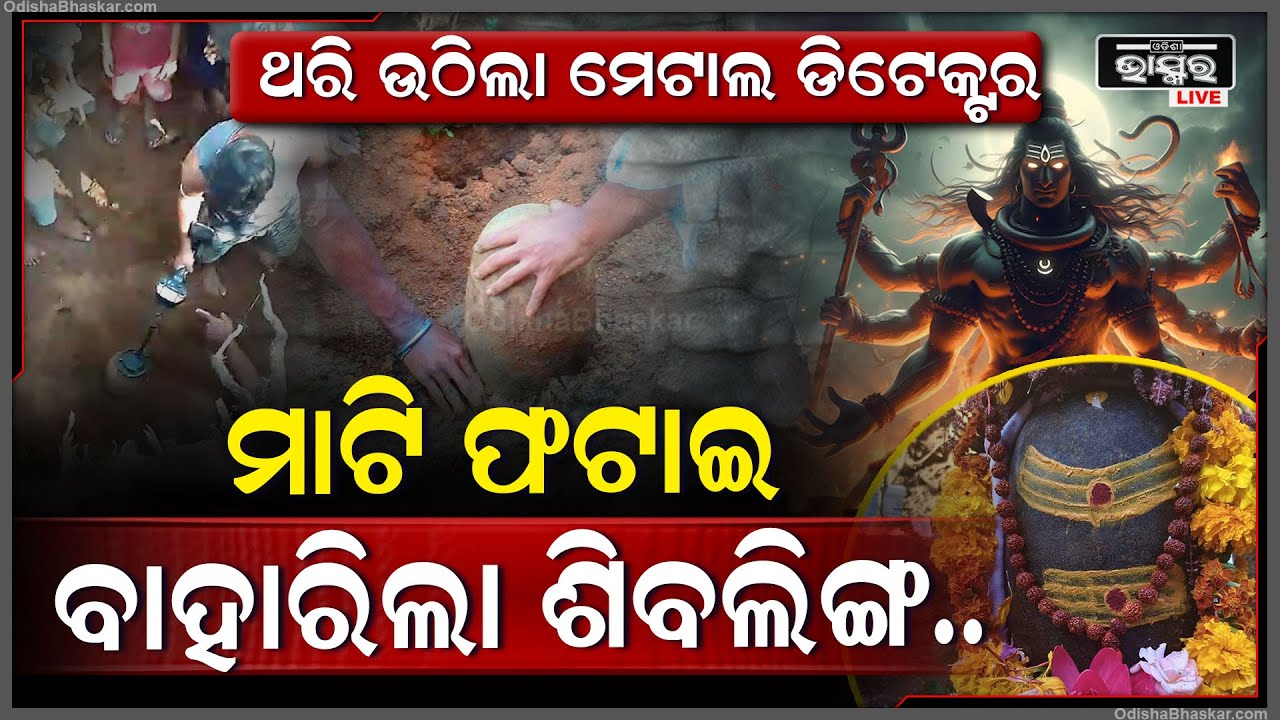 ଶବ୍ଦ କରି ଥରି ଉଠିଲା ମେଟାଲ୍ ଡିଟେକ୍ଟର୍..କାର୍ତ୍ତିକ ସୋମବାରରେ ମାଟି ଫଟାଇ ବାହାରିଲେ ମହାଦେବShivling in Koraput